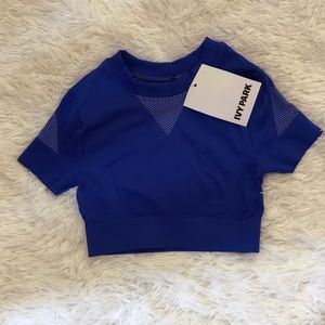 🐝 IVY PARK 🐝 Blue Crop Top